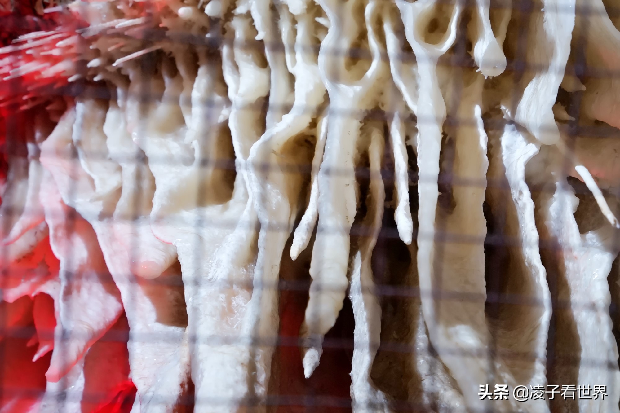 逃离北京40度高温，房山享受22度清凉，看银狐，逛古街吃铁锅炖