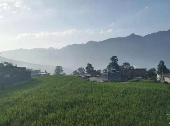 跨越1600公里的漫长求学路,40公里求学