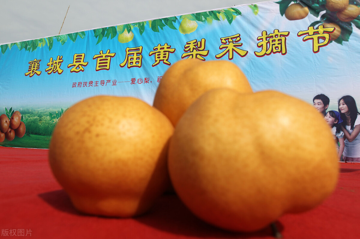 许昌襄城县最新规划,国家为什么要大力发展永城