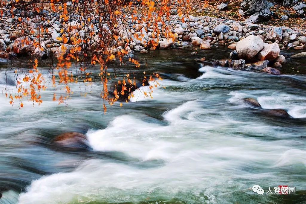 带娃的日子有滋有味,为什么别人的日子过得有滋有味儿