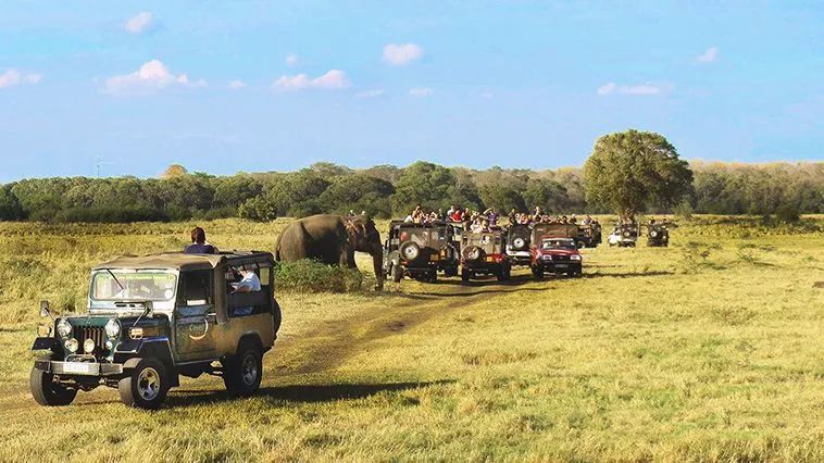 斯里兰卡攻略及费用,斯里兰卡旅游攻略大全