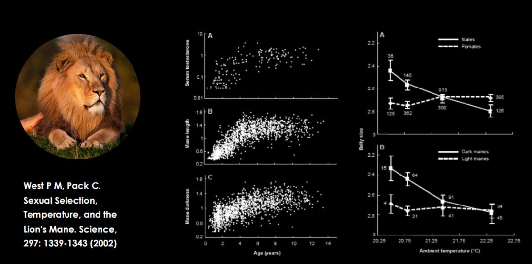 500万年后男性染色体会消失吗,未来男性会消失y染色体吗