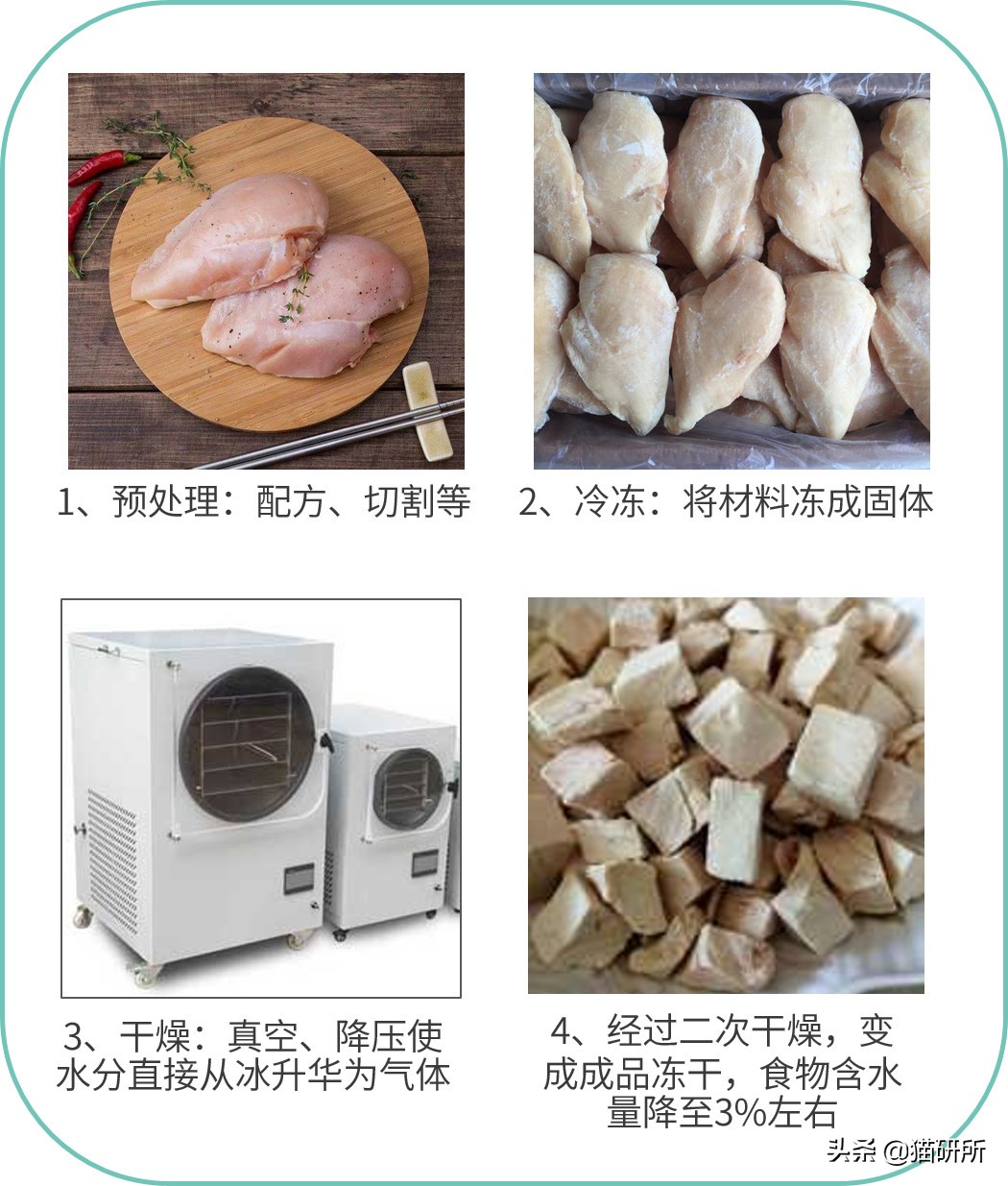 猫咪冻干大百科，主子的零食是不是有着落了？