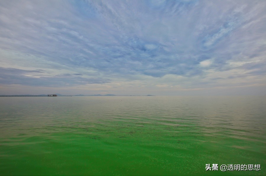 瀵掓绾敓鍛藉ぇ杩涘寲,瀵掓绾敓鍛借繘鍖栫殑杩囩▼