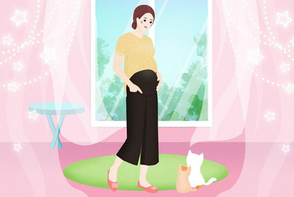 孕期可以吃汤臣倍健多维维生素吗,孕妇补充多种矿物质汤臣倍健