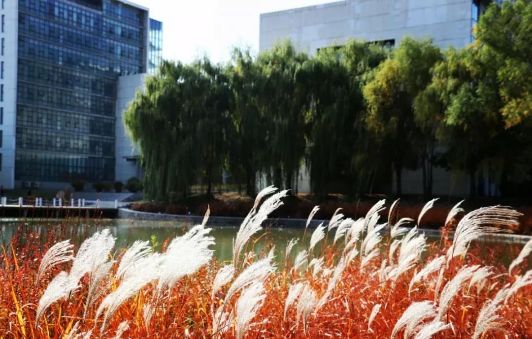 辽宁沈阳的医学大学,了解一下沈阳医学院