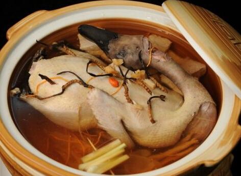 对于野生动物你有哪些了解,冬虫夏草对于女人的好处和坏处