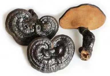 孕早期吃什么食物对胎宝宝有好处,孕妇怀孕初期有哪些不能吃的食物