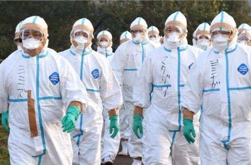 保利链（BLT）——2020最好的拐点，打造行业新标杆