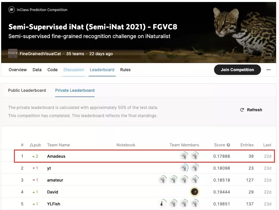 字节跳动全套高级学习资料,字节跳动的成功秘诀