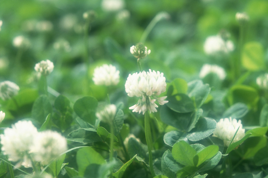 双子座喜欢开朗还是不开朗,双子座隐藏的另一种性格准到可怕