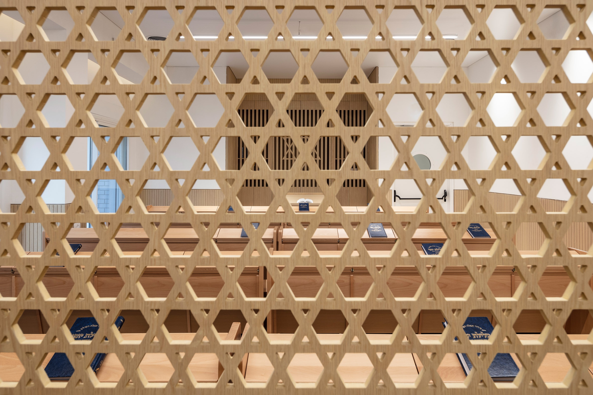 以色列现代简约公寓 (以色列老年公寓设计)