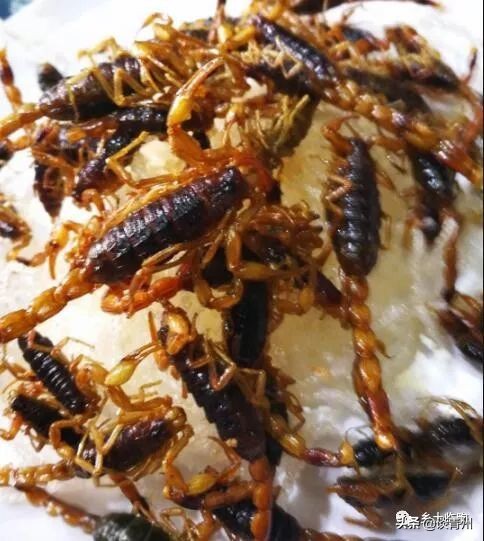 临朐舌尖上的美食,舌尖上的美食临朐