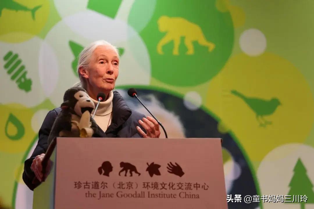 如何圆梦、创造奇迹?看了这6部高分人物传记纪录片,娃有了答案