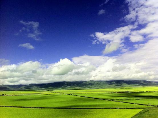 青海是著名的旅游圣地,青海这么美你会去看吗