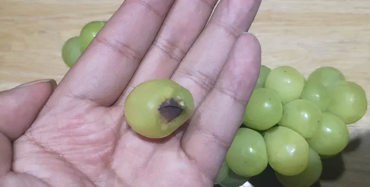 阳光玫瑰葡萄和晴王价格一样吗,日本晴王葡萄和阳光玫瑰的区别