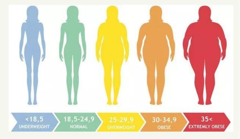 金禾实业甜味剂,甜味剂龙头企业