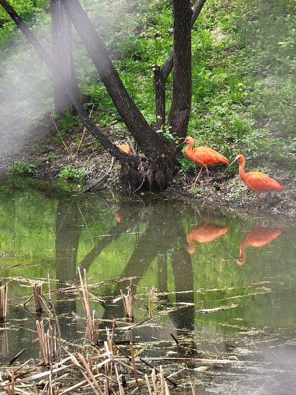 快乐动物园探险,愉快的旅行沈阳森林动物园一日游