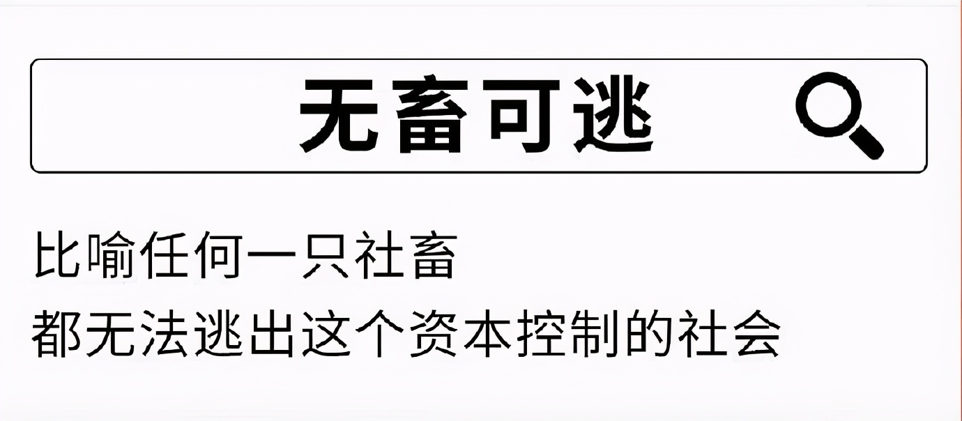 28岁社畜变成高中生,35岁社畜的忠告