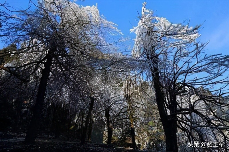 南轩传奇（长篇小说连载之十八）