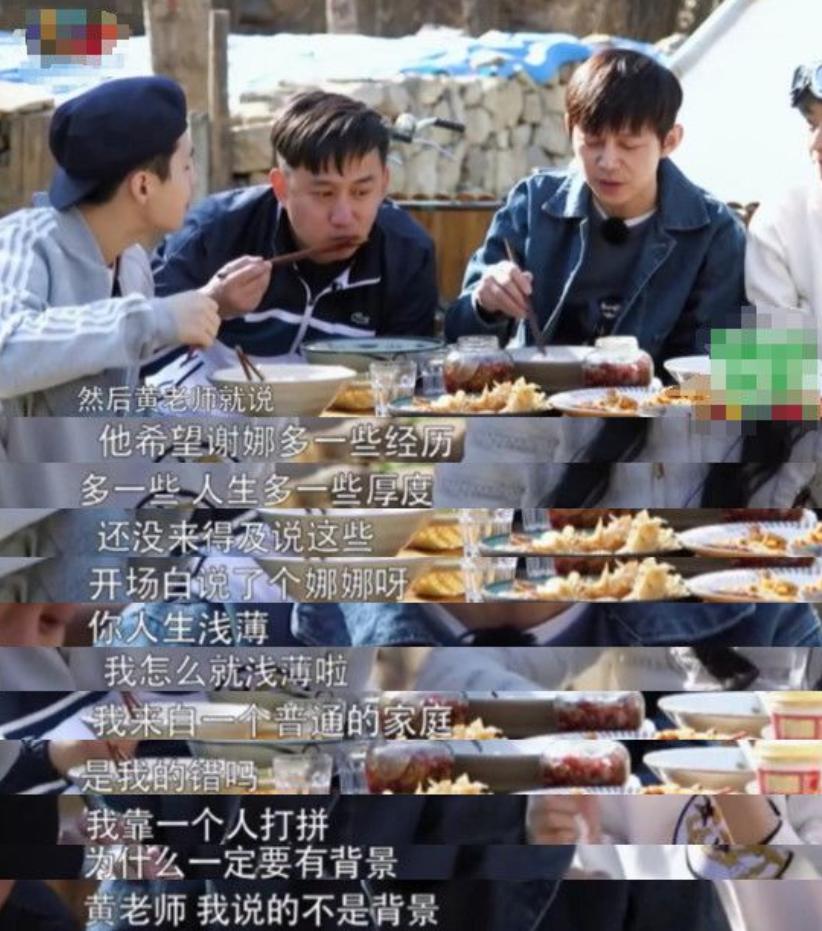 谢娜低谷经历,谢娜事业为何走入低谷