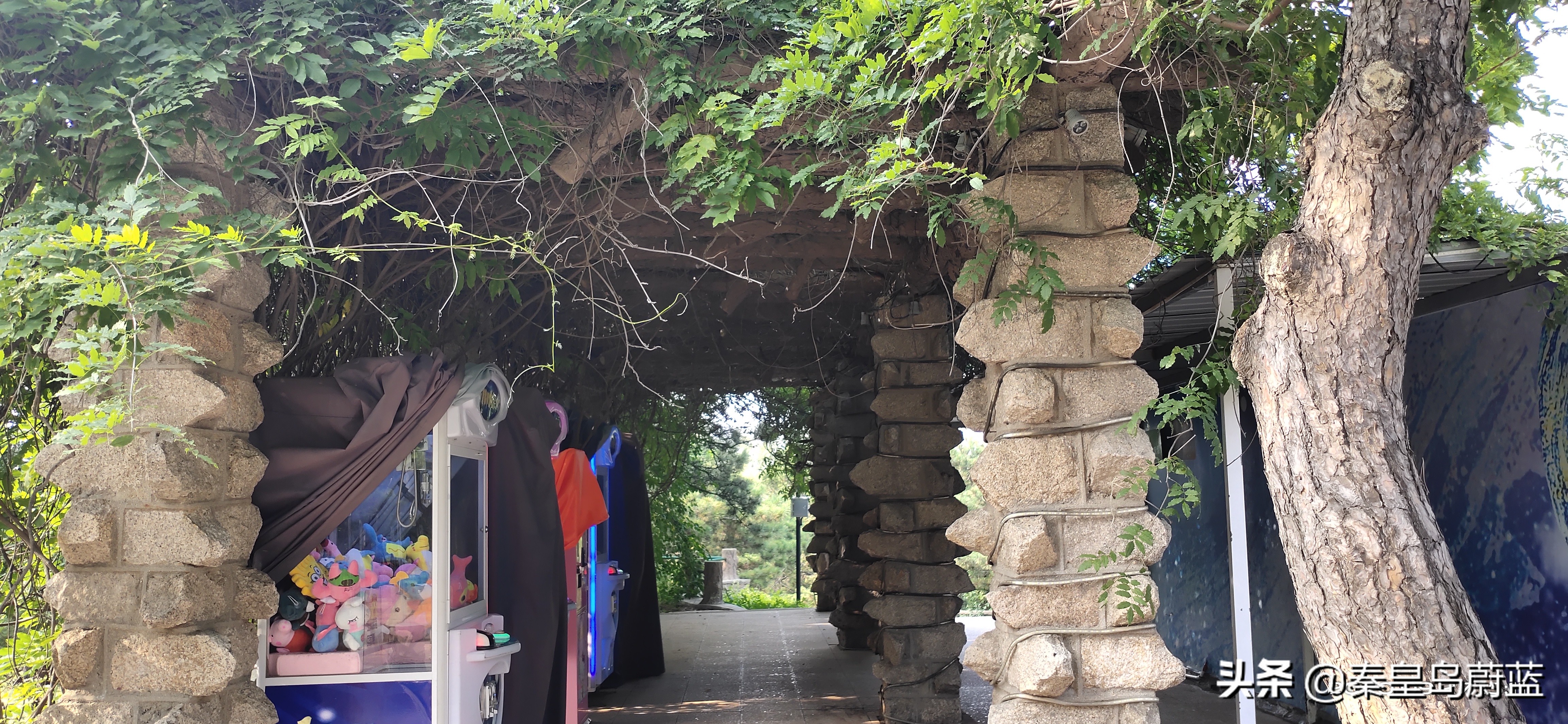 北戴河怪楼奇园来历,北戴河怪楼奇园视频