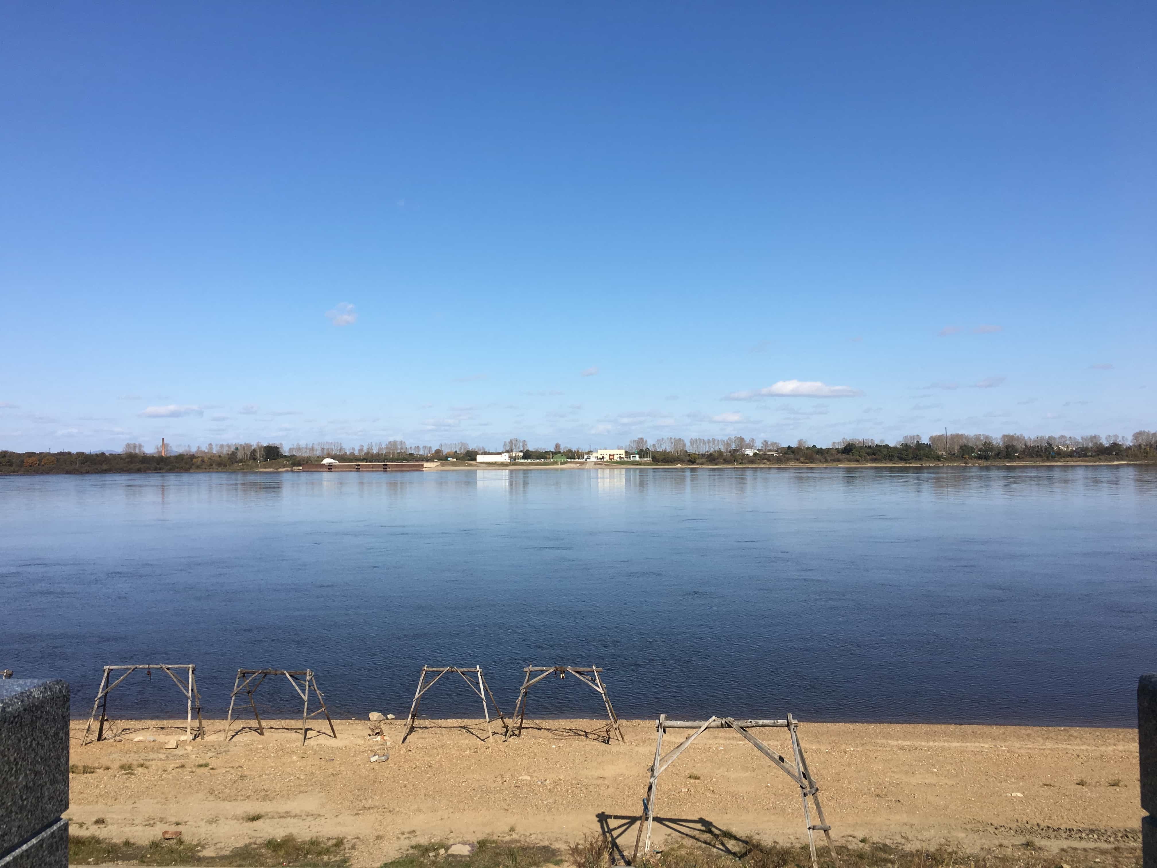 实不相瞒，我就是鹤岗的女婿