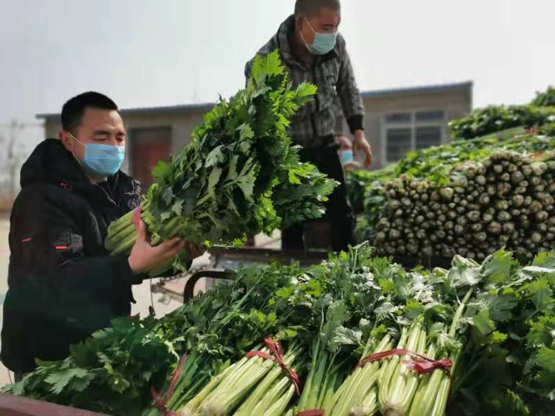 原农村的代购代销员,山村党员代购员有哪些