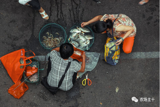 菜市场承载了太多的回忆,菜市场藏着我们生活的意义