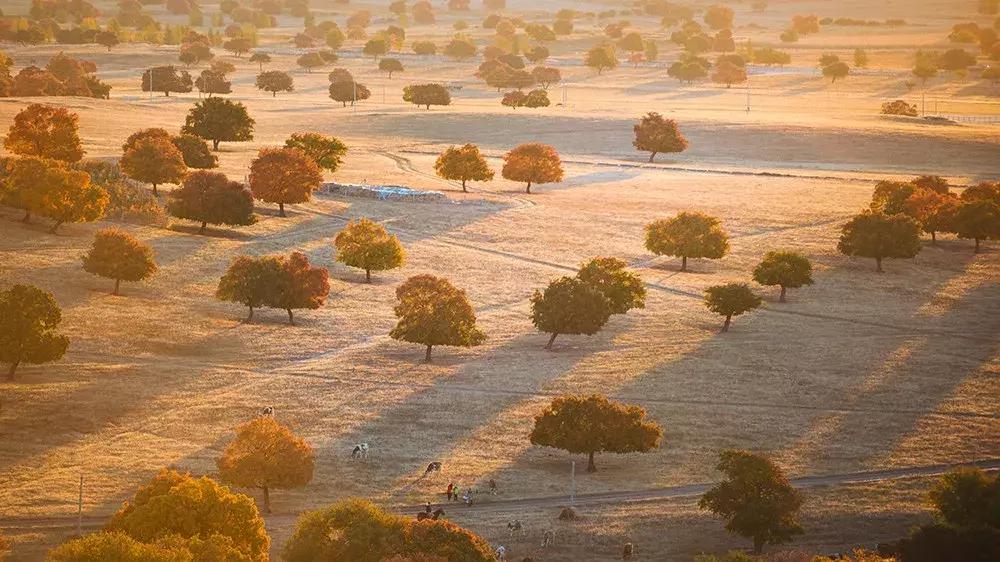 11月适合去旅行的著名风景推荐,10月11月适合旅游的地方