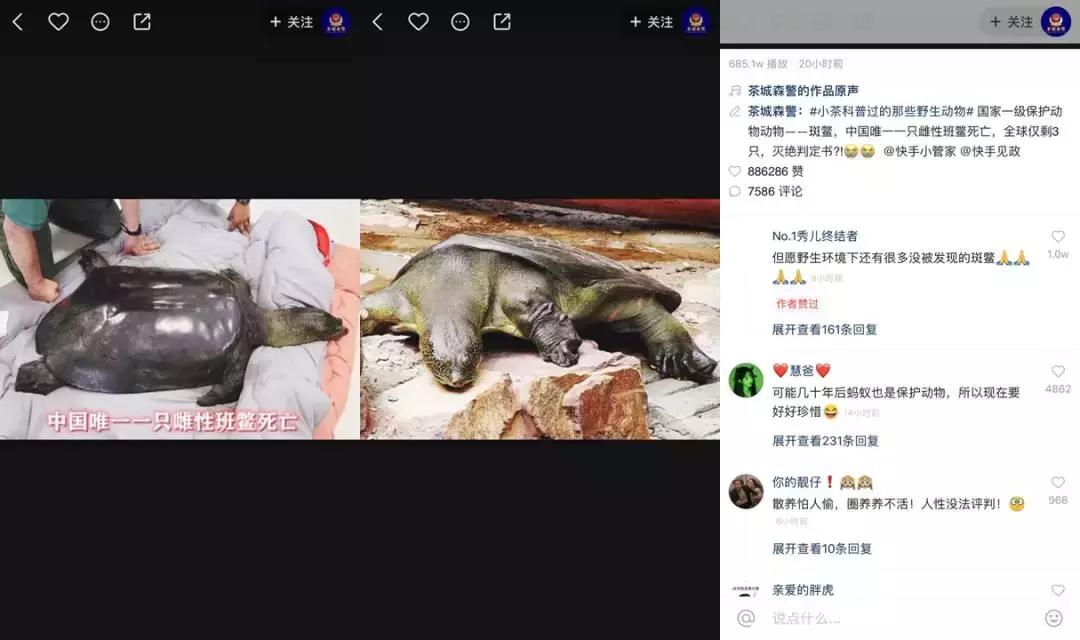 直播吉他泳池修建进度条，快手一天*放播**270万|今日爆款