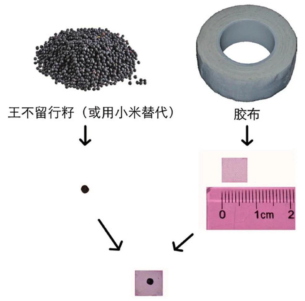 儿童近视眼贴耳豆好吗,儿童眼睛近视贴耳豆有效果吗