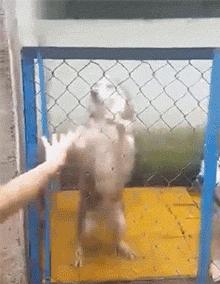 不联系的同学借钱怎么高情商回复,怎么回复借钱的同学