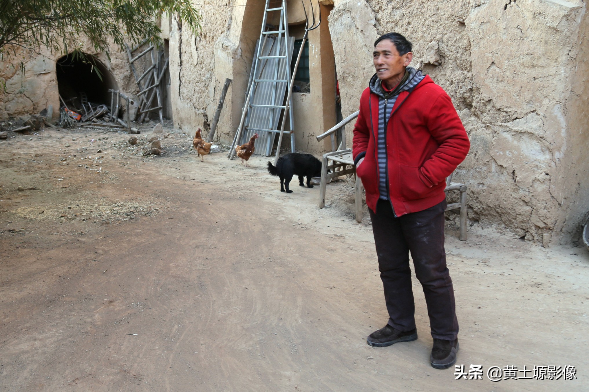 大叔在山上养小型凶猛土狗看家,农村大叔养十几条狗