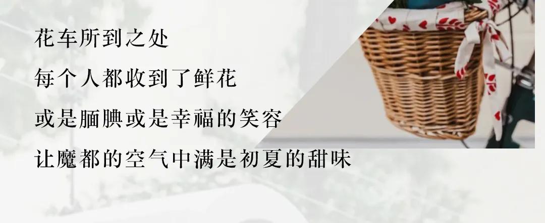 今天的魔都人，都是“花仙子”