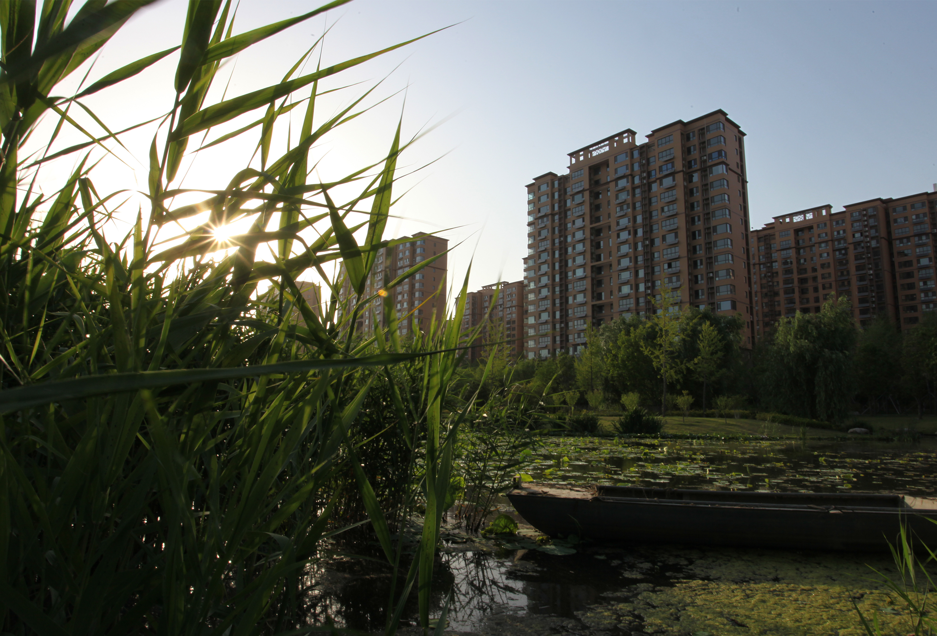 瀛熷鍗虫櫙,瀛熷鍗虫櫙鍙よ瘲涓冨緥