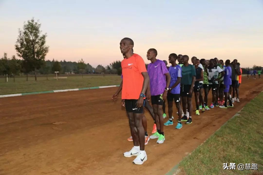 什么是氧感知通路？2019年诺奖公布，揭开了生命与氧气的秘密