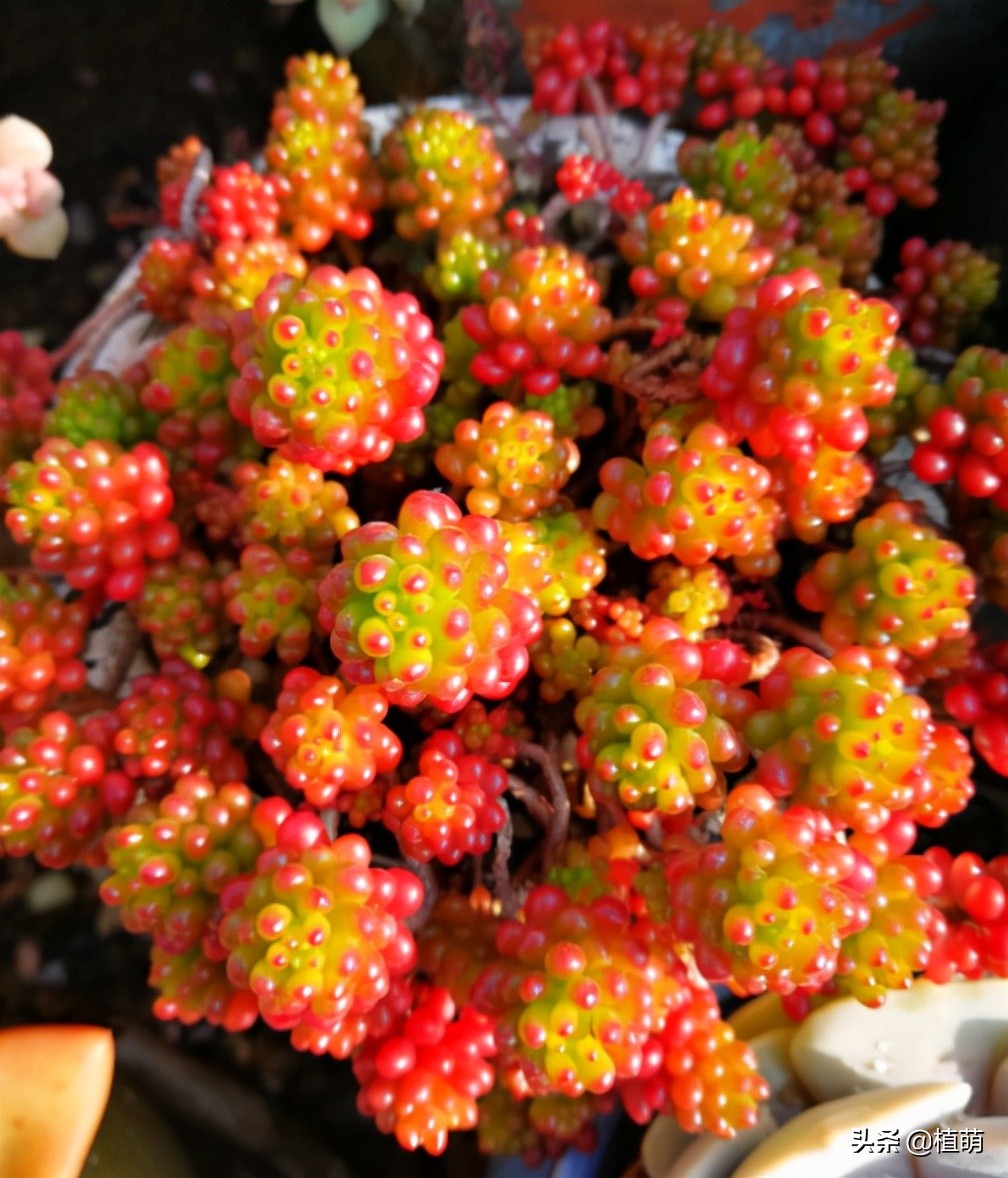 入秋后天气凉爽早晚温差较大,入秋了早晚温差大