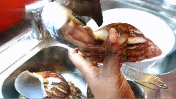 舌尖上的非洲2：什么都吃的国人却不敢吃它——“非洲大蜗牛”