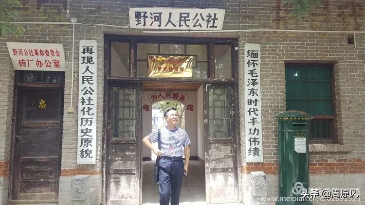 赴一场春日的邀约,五月赴一场与槐花的约会