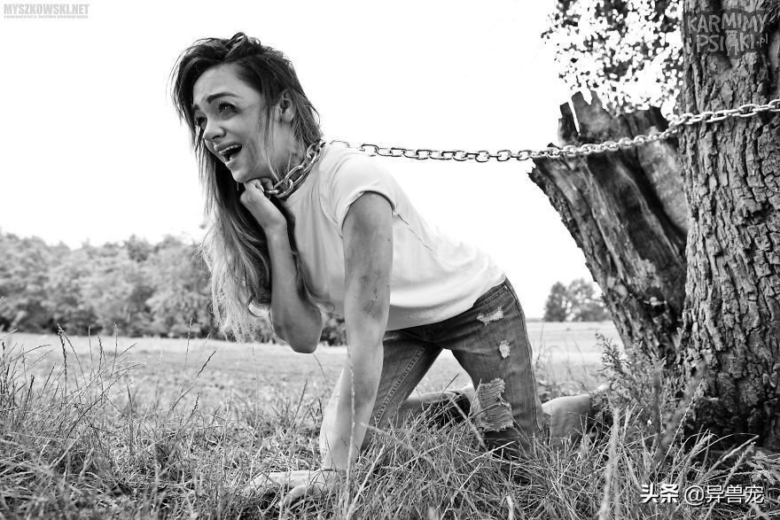 当治病钱有限的时候该怎么办,为什么宠物治疗费用这么高