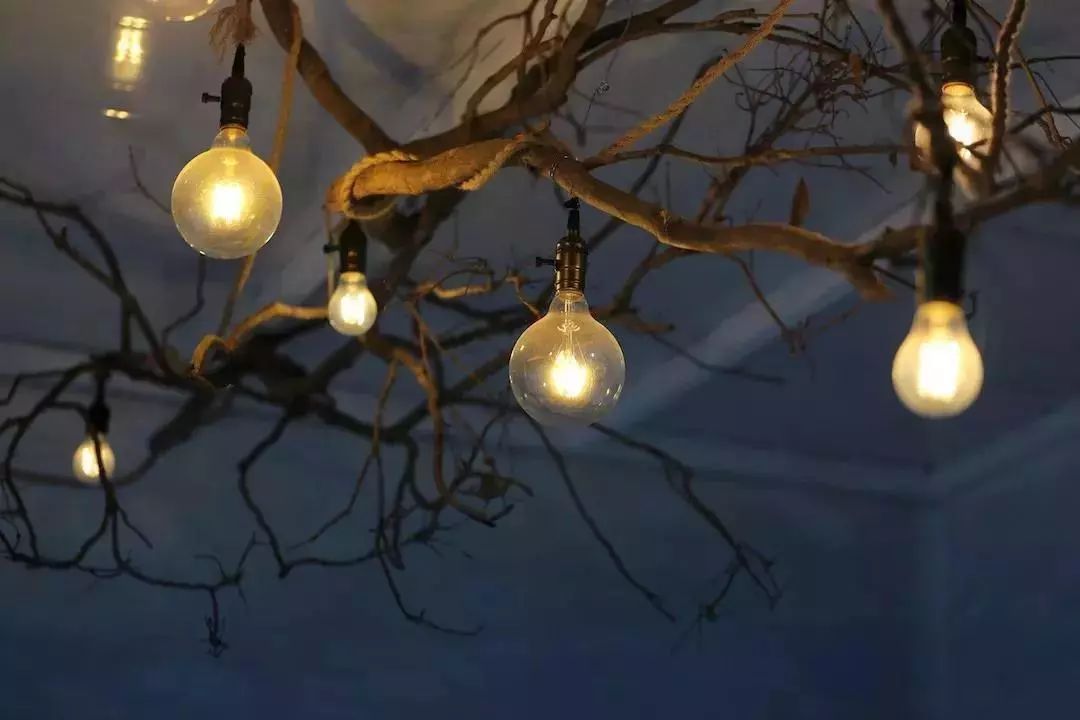 羡慕哭了!央美90后姑娘造300㎡花房,开启幸福隐居生活