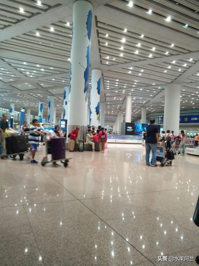 国际出行攻略,新西兰旅游攻略租车