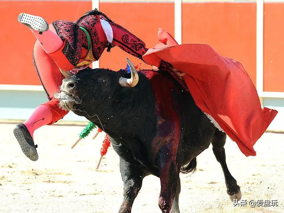 牛年玩什么更牛,牛年牛得牛气冲天