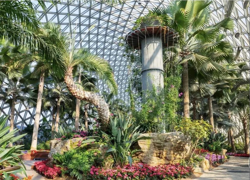 昆明高原的呼唤视频,昆明高原的呼唤