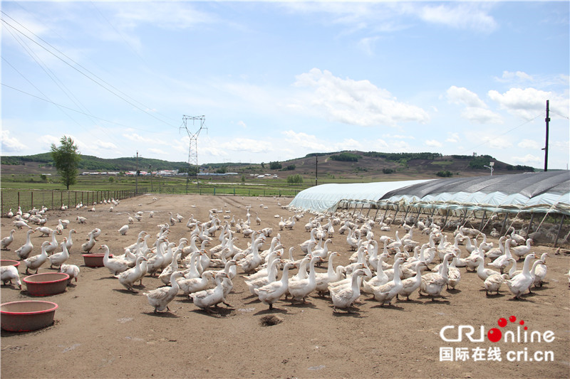 延寿县46个贫困村全部脱贫,延寿县贫困