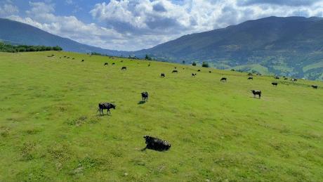 炉小哥烤肉yoyopark店,炉小哥yoyopark店团购