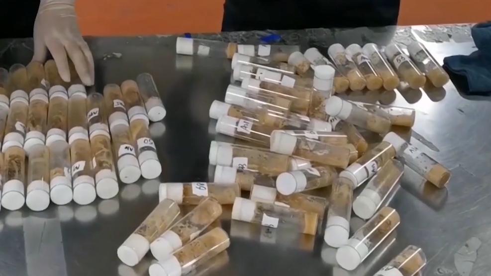 又想对华输入“病毒”？海关拦截美国怪异包裹，内藏66管黑腹果蝇