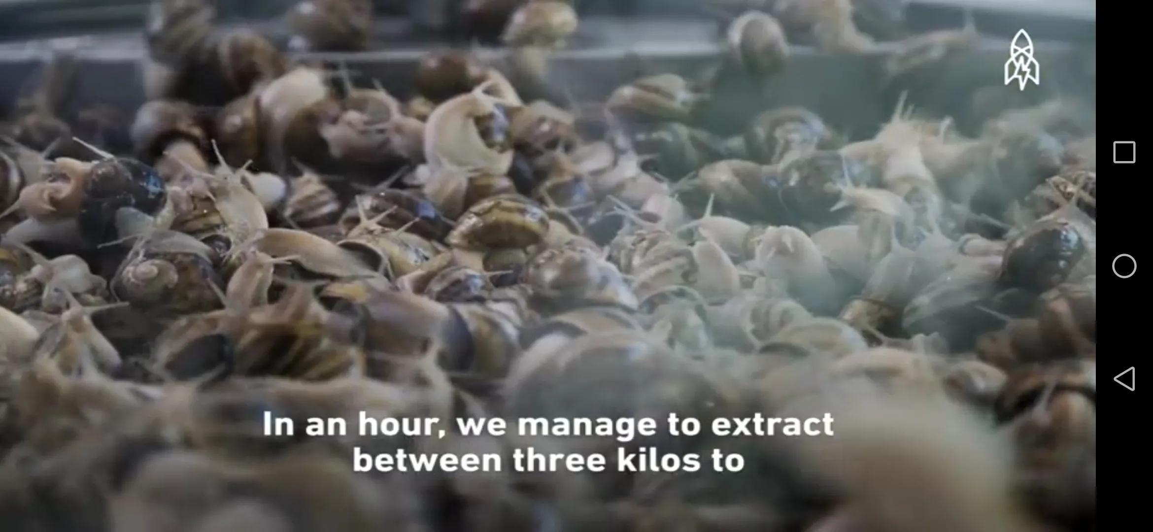 蜗牛护肤品都有修护作用吗,蜗牛的护肤品怎么这么便宜