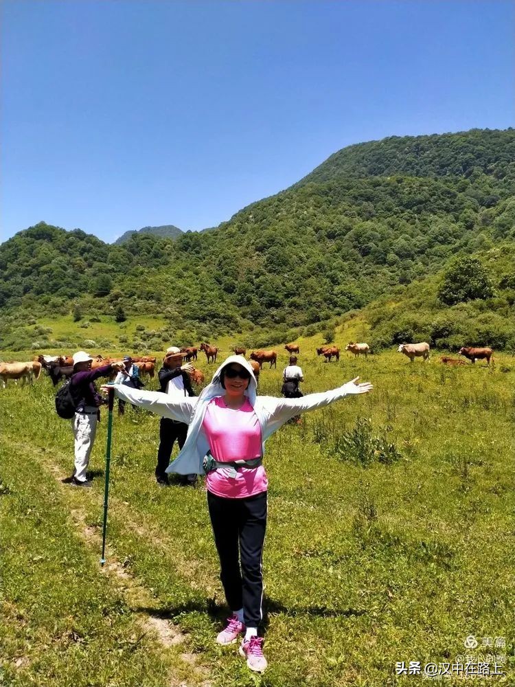 汉中圈子崖天坑,汉中镇巴圈子崖天坑旅游攻略